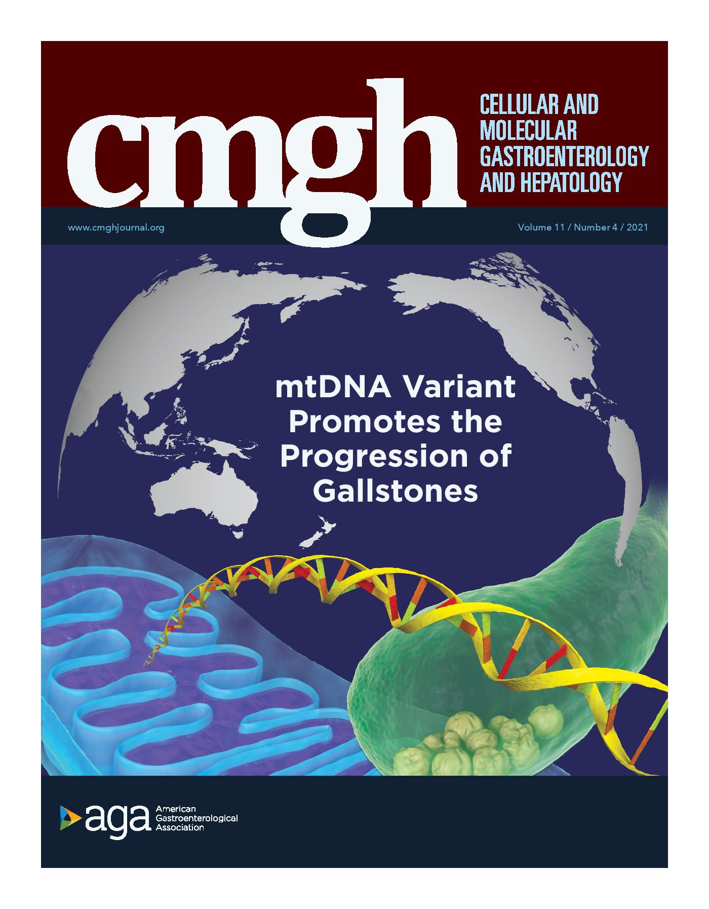 LetPub Journal Cover Art Design - A Mitochondrial DNA Variant Elevates the Risk of Gallstone Disease by Altering Mitochondrial Function